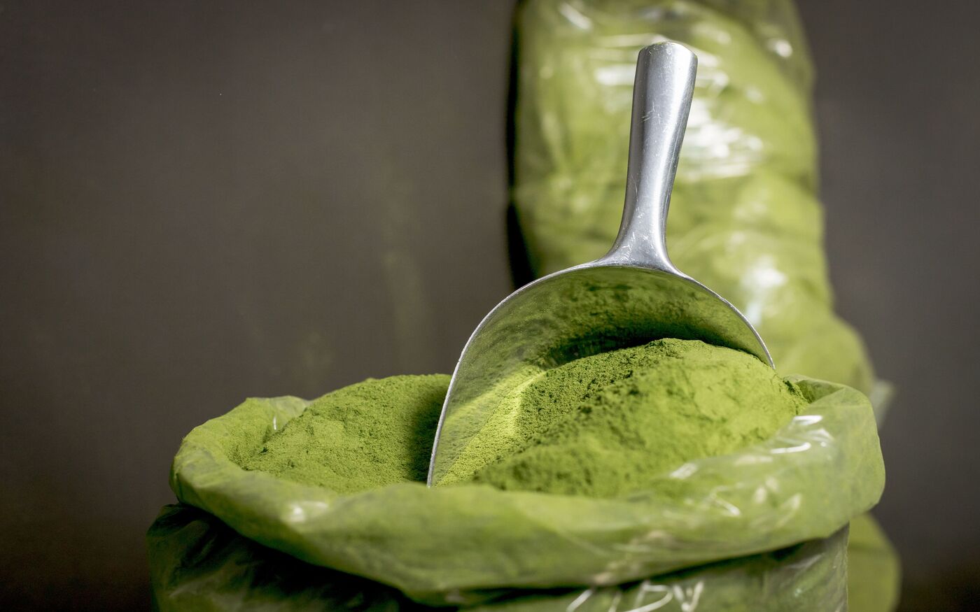 Particle Size in Moringa Powder: Why 80–100 Mesh Matters