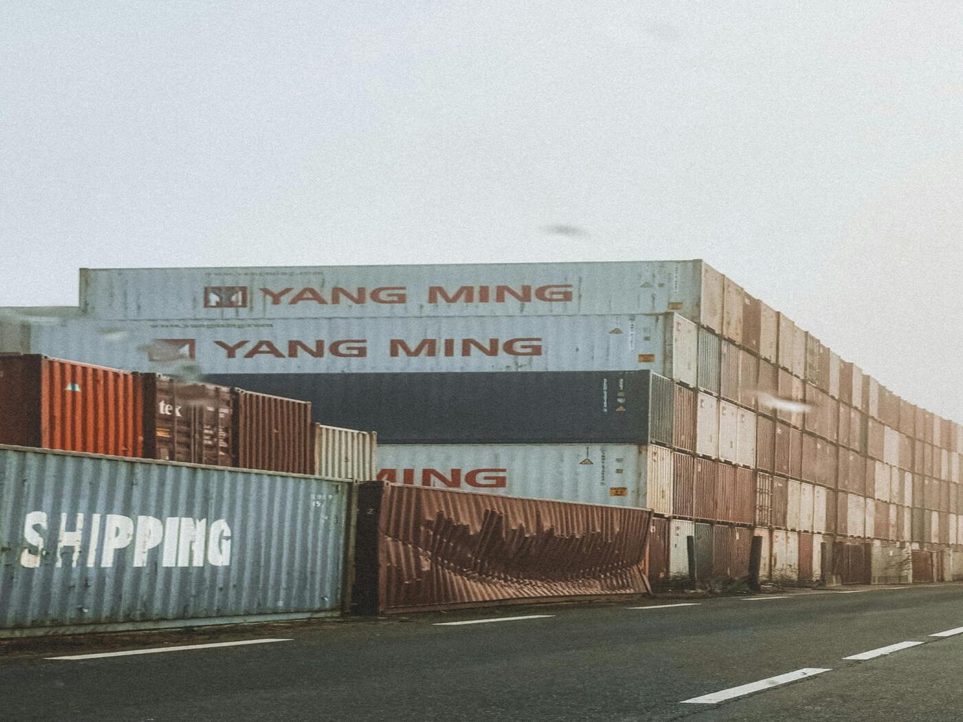 Global moringa export logistics